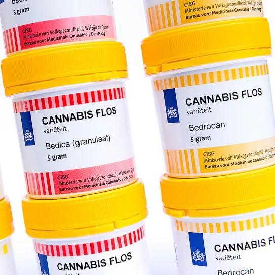 Países Bajos enfrenta un desfase en su cannabis medicinal