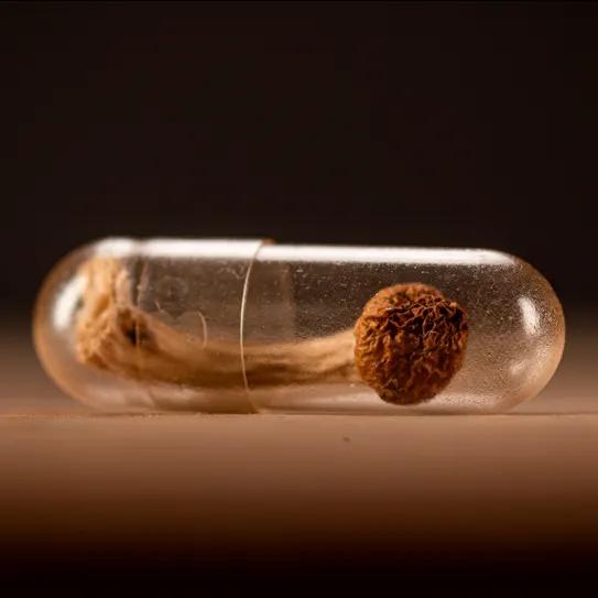 Dos ensayos fase 3 acercan la psilocibina a revisión regulatoria