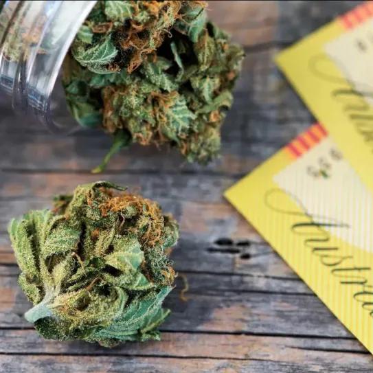 En Australia el cannabis legal podría aportar más de 850 millones de euros