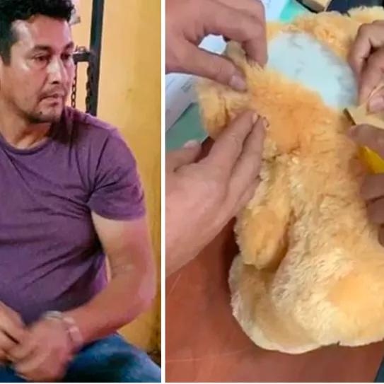 Imagen sin descripción