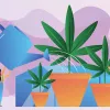 Nutrición y calidad del agua para el cultivo de cannabis