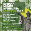 Este año la Marcha mundial de la marihuana pasa por tu casa