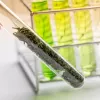 15% de la marihuana de Colorado no pasa el test de microbios en 2019
