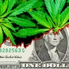 Pese al COVID-19 Illinois vende 37 millones de dólares en cannabis
