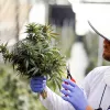 Israel aprueba la exportación de cannabis para uso medicinal