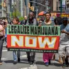 Hay tiempo para legalizar el cannabis en Nueva York