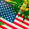 Fiscales generales en EE.UU presionan reforma del sistema de la banca y la marihuana