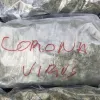 Cannabis confiscado