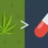 Estados que legalizaron la marihuana ven reducido el uso de opioides en un 20 por ciento