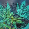 La marihuana no produce derrame cerebrales, asegura un estudio