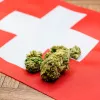 ¿Suiza está preparando una ley para legalizar el consumo de cannabis recreativo?