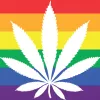 Marihuana más "moral" que la homosexualidad y el porno, según encuesta