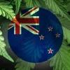56% de los neozelandeses dispuestos a legalizar el cannabis en otoño