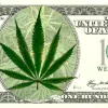 Residentes de Arkansas compran cada día marihuana medicinal por valor de 500.000 de dólares