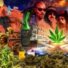 Documentales sobre cannabis