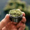 Consumo de cannabis desciende en territorios legales y es innegable hasta para los anti-droga