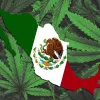 Será el Congreso el que decida sobre la marihuana en México