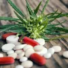 Nuevo estudio señala que el cannabis ayuda a dejar los opioides