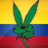 Aprobado en Colombia el primer debate sobre la legalización del cannabis