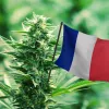 Comité francés impulsan la legalización del cannabis