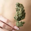 Nuevo estudio sobre el cannabis para tratar los problemas de la menopausia