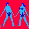 Sexo, cannabis y COVID
