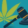 Algunas de las razones por las que legalizar el cannabis