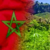 Los agricultores del norte de Marruecos piden la regulación del cannabis