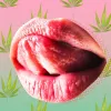 Cómo mezclar cannabis y conversaciones sexy durante tus relaciones sexuales y que no se te trabe la lengua