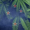Nueva Zelanda rechaza la regulación del cannabis en un referéndum