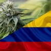 Una comisión del Senado colombiano aprueba un nuevo proyecto de ley del cannabis recreativo