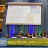 La ONU reconoce la utilidad terapéutica del cannabis