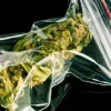 Otro territorio considera reducir las penas por llevar drogas: Nueva Gales del Sur 
