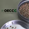 El Observatorio Europeo del Cannabis critica la criminalización del sector cannábico