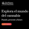 El Hash Marihuana Museum cuelga parte de su colección en su nueva web
