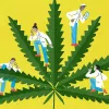 El número de artículos científicos sobre el cannabis bate récords en 2020