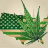 Siete estados más podrían regular el cannabis en 2021 en EE UU