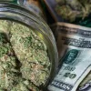 Las licencias locales para dispensarios de cannabis provocan casos de corrupción en EE UU