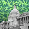 EE UU tendrá más políticas federales de cannabis tras la conquista demócrata del Senado