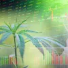 Las acciones de las empresas del cannabis cayeron en 2020