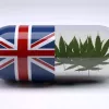 Reino Unido entrega una segunda licencia de producción de cannabis 