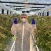 Australia cierra un contrato de exportación de cannabis a Alemania