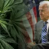 La legalización del cannabis obtiene más apoyos que Biden en una encuesta estadounidense