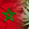 Marruecos discute hoy la regulación del cannabis para fines medicinales