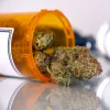 Portugal tendrá cogollos de cannabis en las farmacias a partir del mes que viene