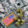 Organizaciones de Veteranos piden al Congreso de EE UU acceso al cannabis y los psicodélicos