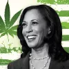 La vicepresidenta de EE UU Kamala Harris deja de apoyar la regulación del cannabis