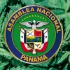 La Asamblea de Panamá retoma la discusión sobre el cannabis pero la envía a una comisión