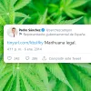 Un tuit de Pedro Sánchez proclamaba “Marihuana legal” en 2014