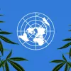 La junta de drogas de la ONU de nuevo preocupada por las regulaciones del cannabis